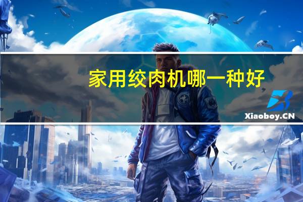 家用绞肉机哪一种好