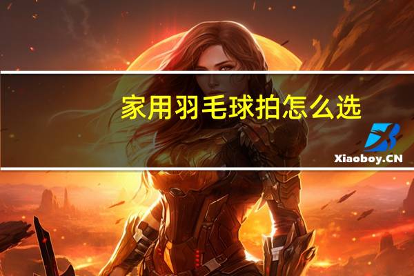 家用羽毛球拍怎么选