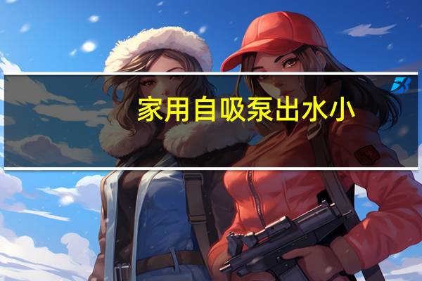 家用自吸泵出水小