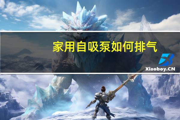 家用自吸泵如何排气