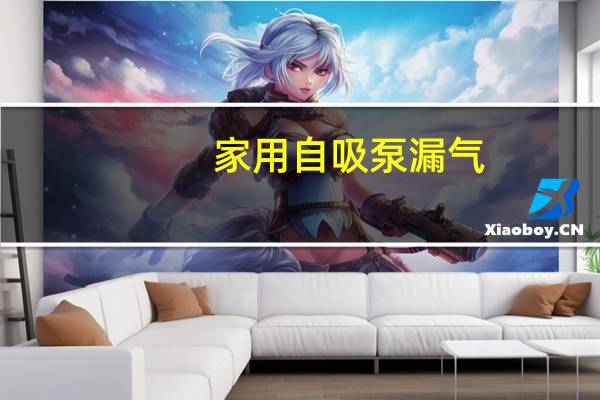 家用自吸泵漏气