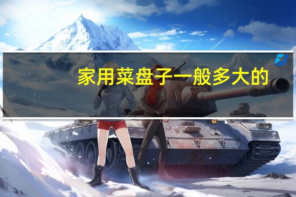 家用菜盘子一般多大的