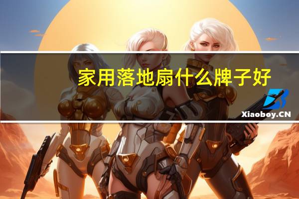 家用落地扇什么牌子好