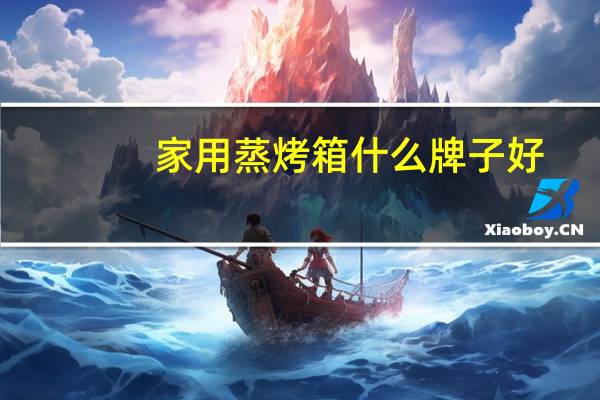 家用蒸烤箱什么牌子好
