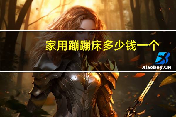 家用蹦蹦床多少钱一个
