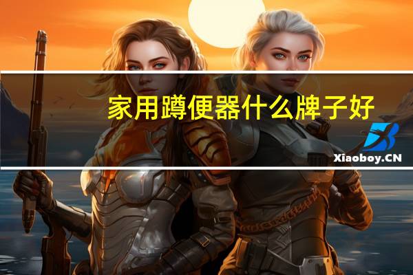 家用蹲便器什么牌子好