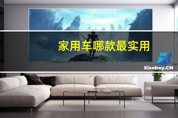 家用车哪款最实用