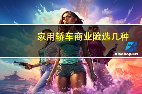 家用轿车商业险选几种