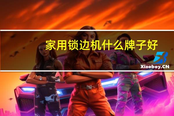 家用锁边机什么牌子好