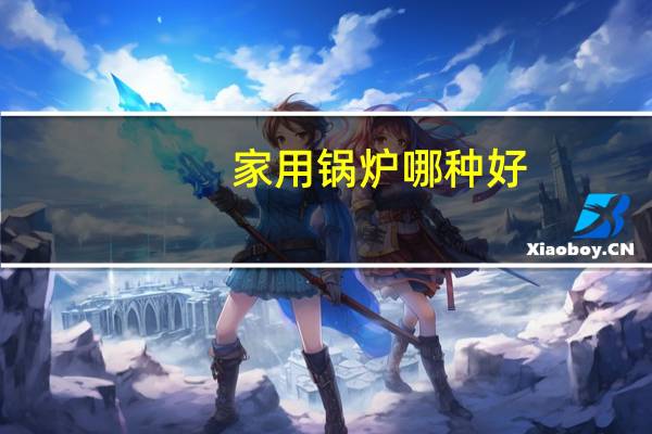 家用锅炉哪种好