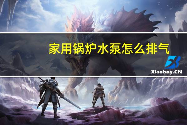 家用锅炉水泵怎么排气