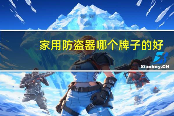 家用防盗器哪个牌子的好