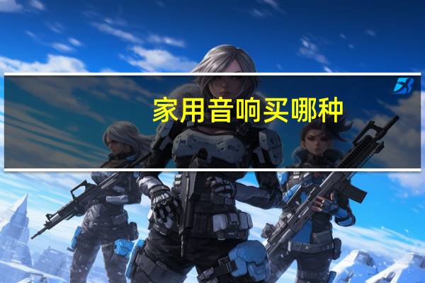 家用音响买哪种