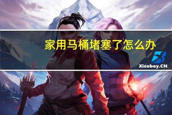 家用马桶堵塞了怎么办
