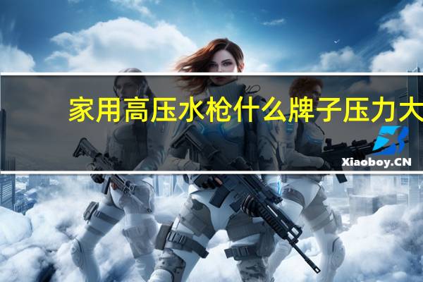 家用高压水枪什么牌子压力大