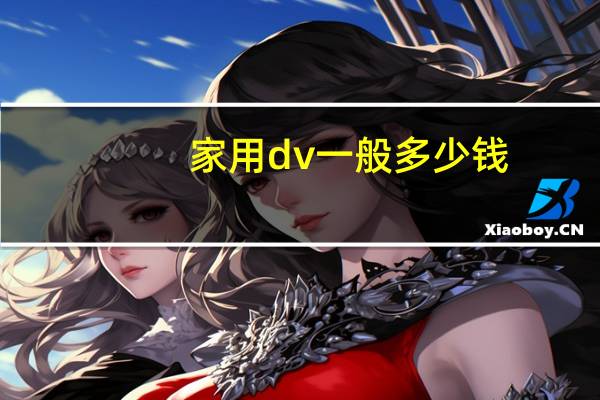 家用dv一般多少钱