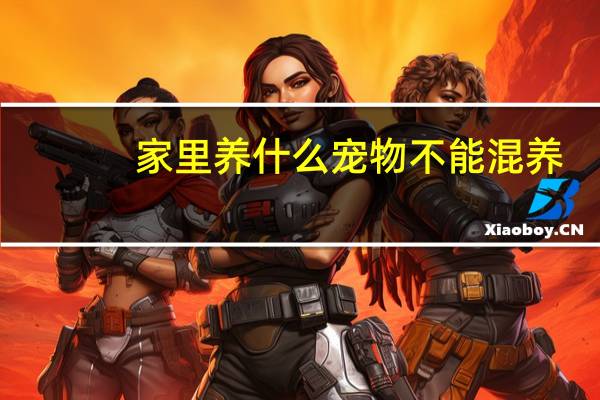 家里养什么宠物不能混养