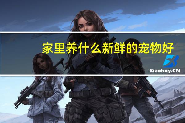 家里养什么新鲜的宠物好