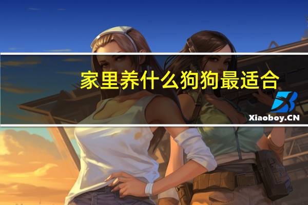 家里养什么狗狗最适合