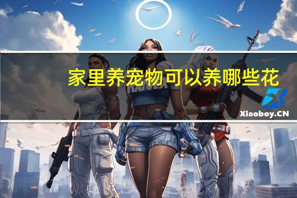 家里养宠物可以养哪些花