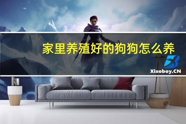 家里养殖好的狗狗怎么养