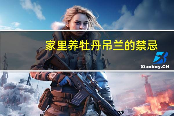 家里养牡丹吊兰的禁忌