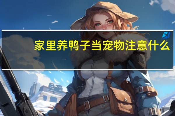 家里养鸭子当宠物注意什么