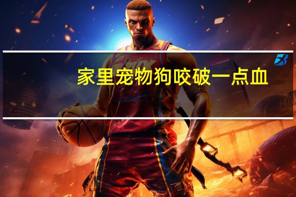 家里宠物狗咬破一点血