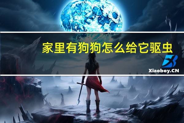 家里有狗狗怎么给它驱虫