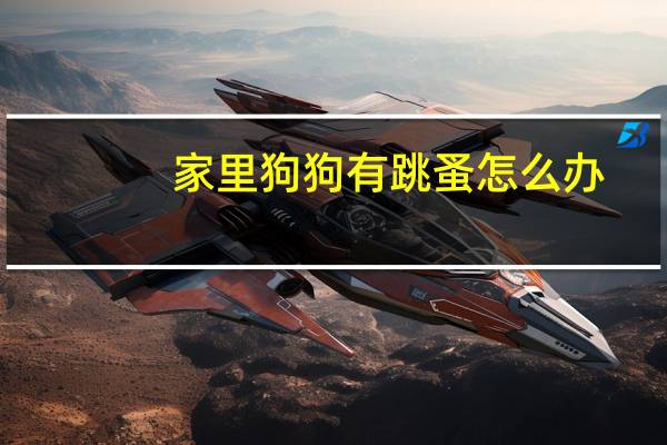 家里狗狗有跳蚤怎么办