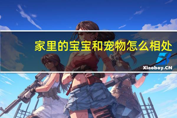 家里的宝宝和宠物怎么相处