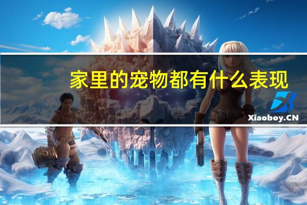 家里的宠物都有什么表现