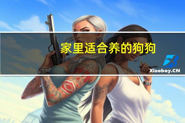 家里适合养的狗狗