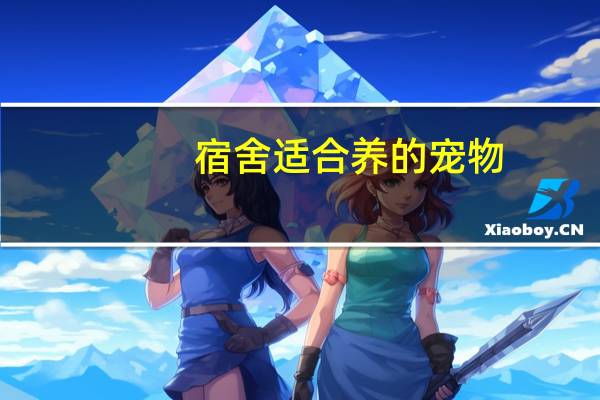 宿舍适合养的宠物