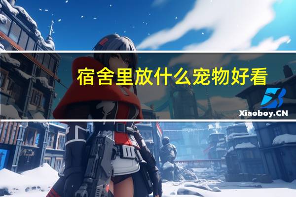 宿舍里放什么宠物好看