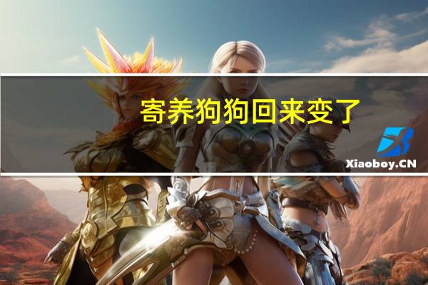 寄养狗狗回来变了