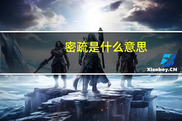 密疏是什么意思