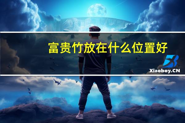 富贵竹放在什么位置好
