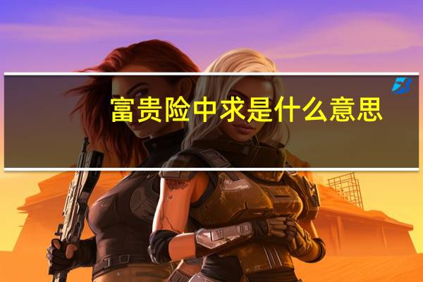 富贵险中求是什么意思