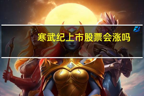 寒武纪上市股票会涨吗