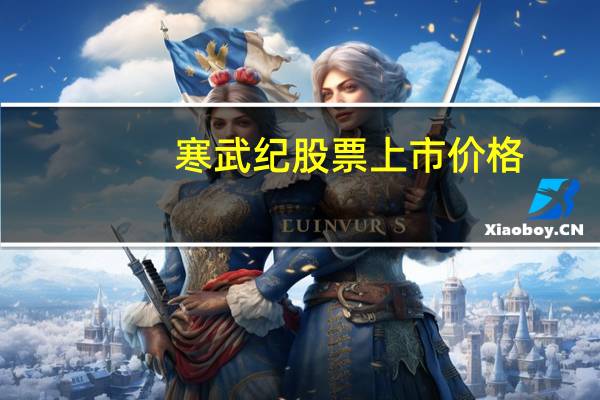 寒武纪股票上市价格