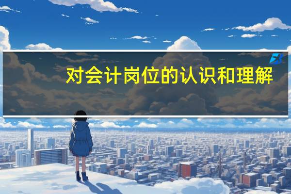 对会计岗位的认识和理解