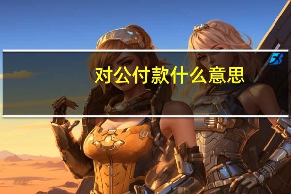 对公付款什么意思