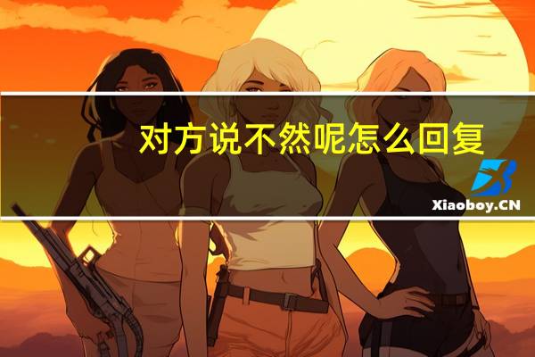 对方说不然呢怎么回复