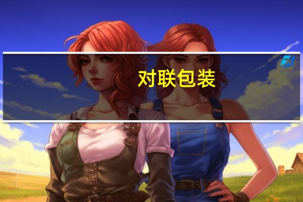 对联包装