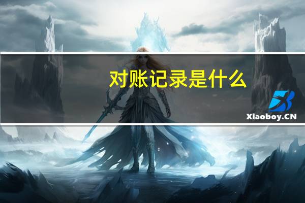 对账记录是什么