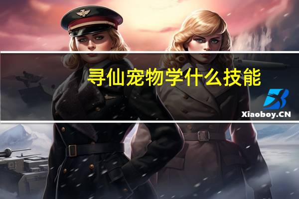 寻仙宠物学什么技能