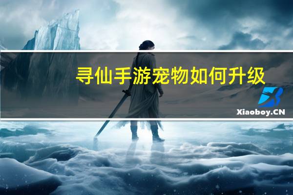 寻仙手游宠物如何升级