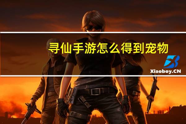 寻仙手游怎么得到宠物