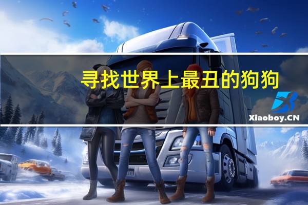 寻找世界上最丑的狗狗